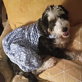 Millie