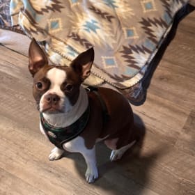 Diesel