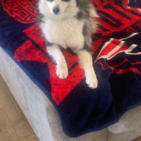 Brady
