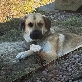 Grady