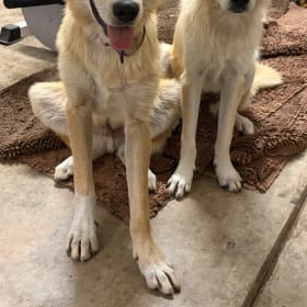 Chase and Ellie