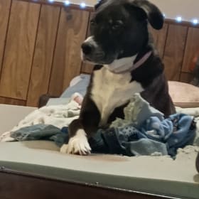 Cheyenne