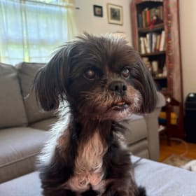 Bella