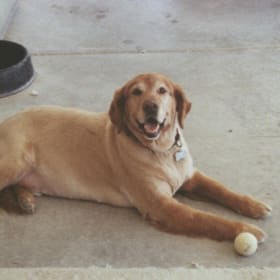 Theodore