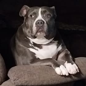 Daisy Mae