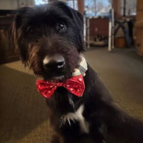 Milo