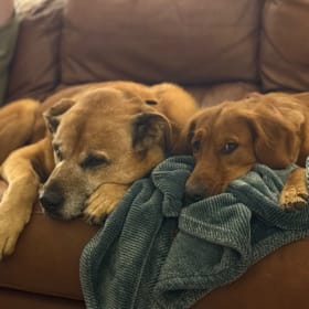 Barry and Ginger