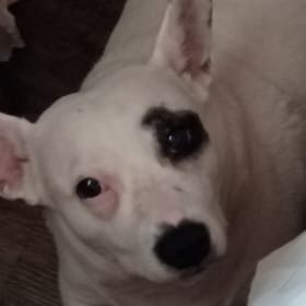 Minnie