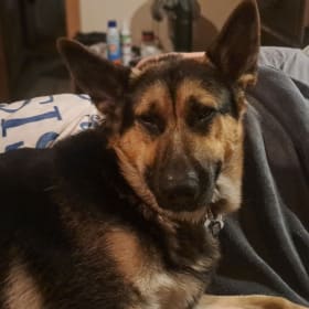 Zeke