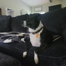 Mac