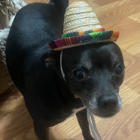 Paco