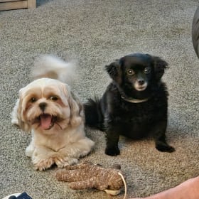 Harley and Dexter