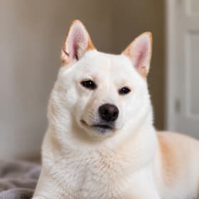 Sheila