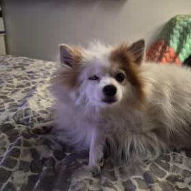 Nadalie
