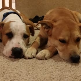Best Friends