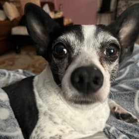 Pablo