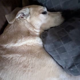 Roscoe