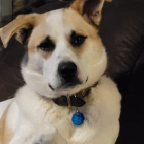 Odin