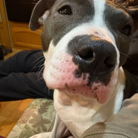 Lyla