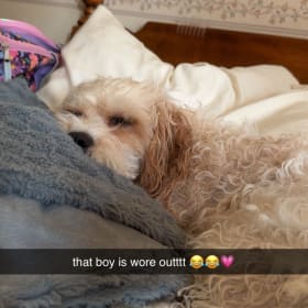 Max