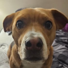 Zoey