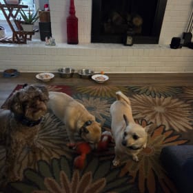 JJ Reggie and Rainy
