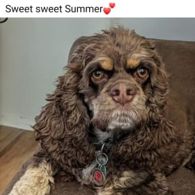 Summer