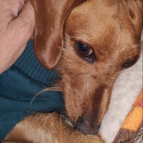 Oscar Meyer