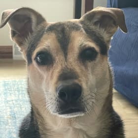 Ralphie