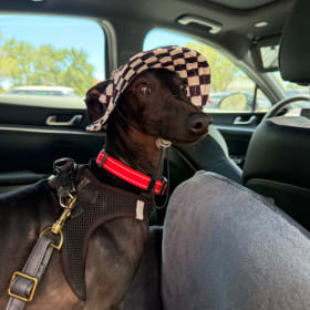 Zuko