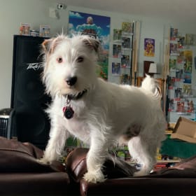 Oliver