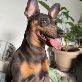 Matilda