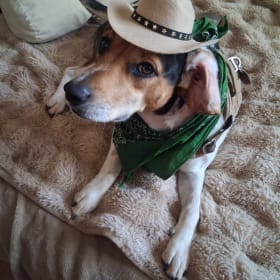 MAX THE COWBOY