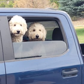 Maverick and Hollie
