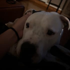 Coda