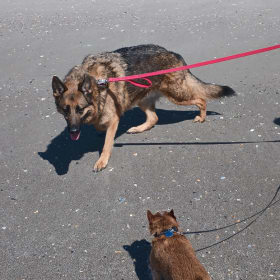 Greta and Mikey