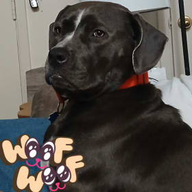 Molly Debbie Rose Loya