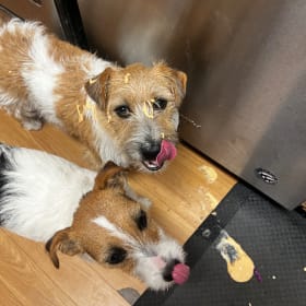 Ruby and Hank