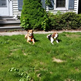 Daisey and Wally