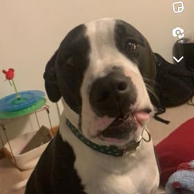 Marley