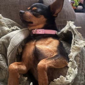 Chella