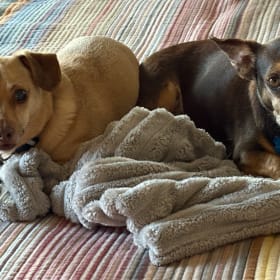 Chester and Larry