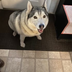 Dakota