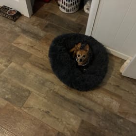Lola