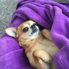 Chloe