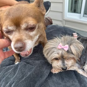Lola and Gigi
