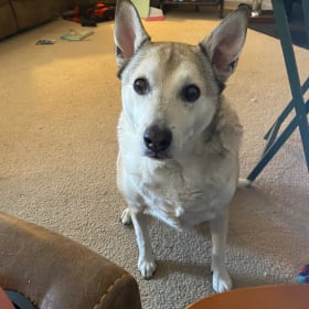Sam