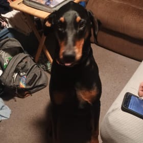 Oscar