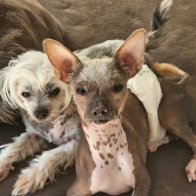Holly and Joey
