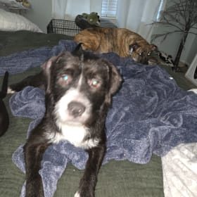 Franklin and Cane